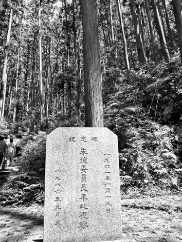 朱德委员长当年考察的王台杉木林，如今树龄101岁.jpg