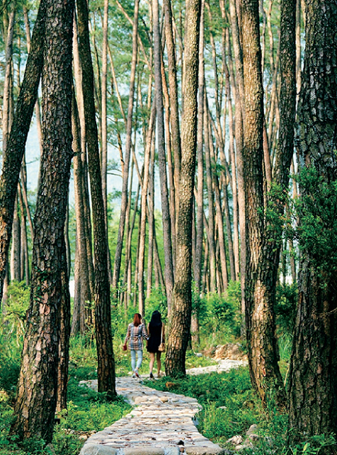 176163101651063.png 图片.png07.png