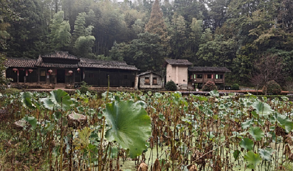 176181743665483.jpg 微信图片_20251030171442_248_3.jpg