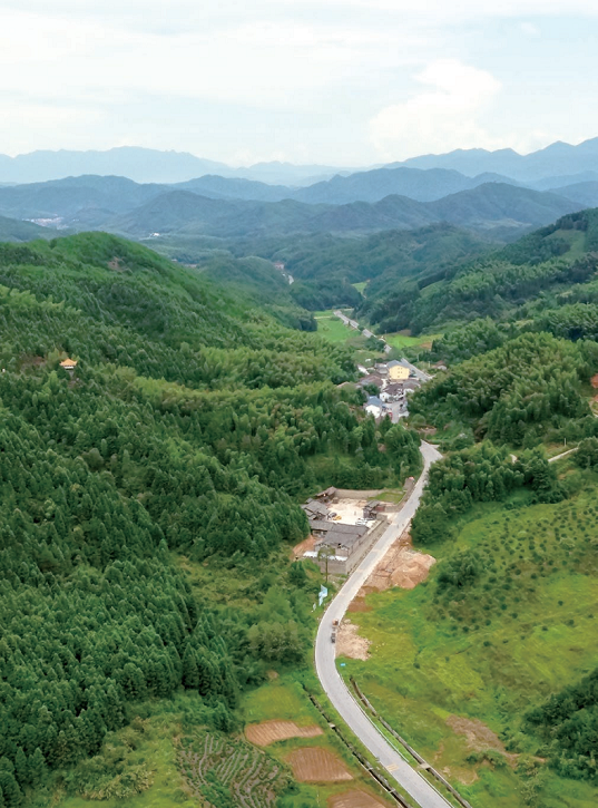 176317991489759.png 图片50.png