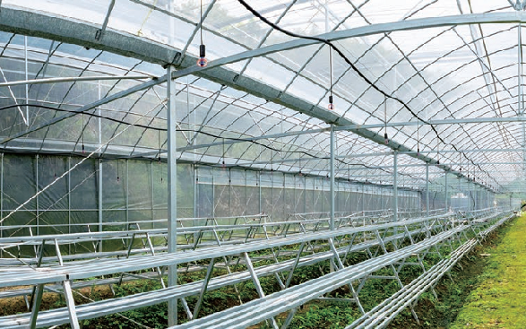 图片76 - 副本.png