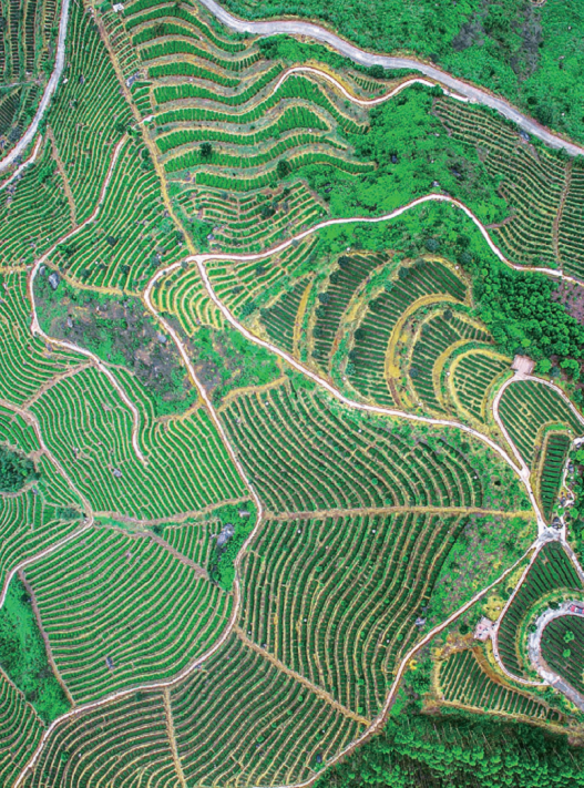 176460392722179.png 图片.png12.png