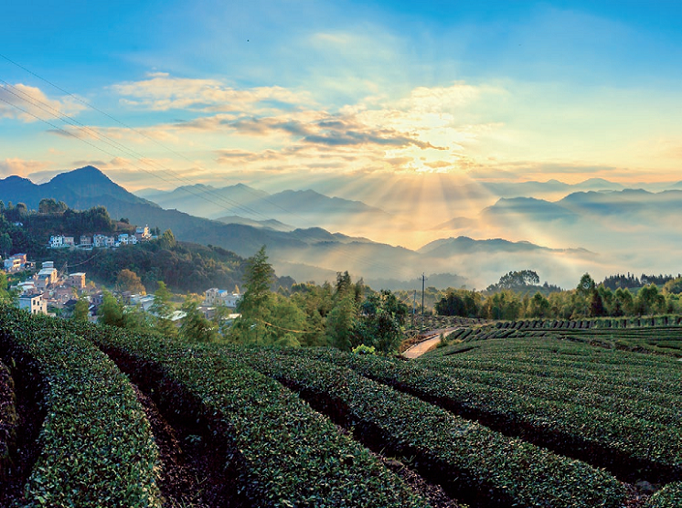 176460396518664.png 图片.png13.png