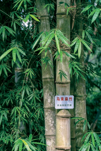 176468921151809.png 图片.png16.png