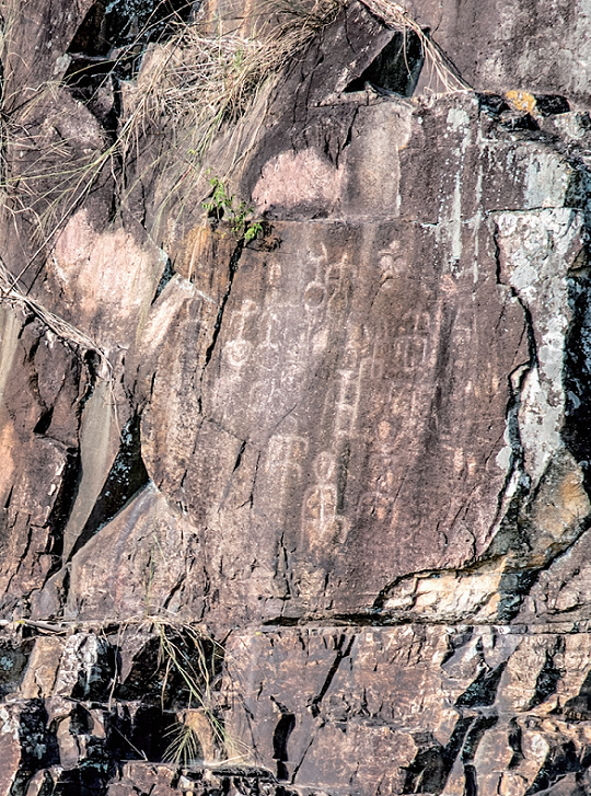 176839062491602.png 图片42.png