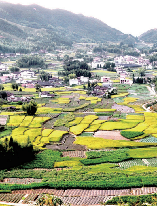 176892184630296.png 图片57.png