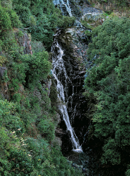 176892188873817.png 图片58.png