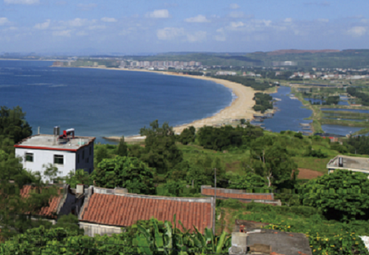 图片.png42 - 副本.png