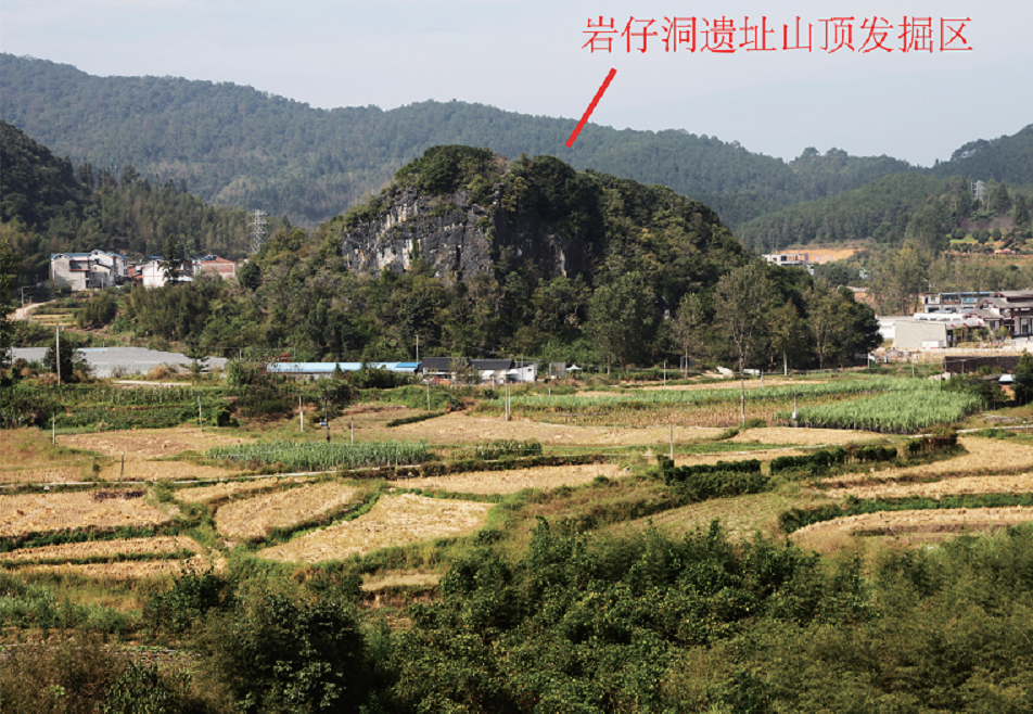 图片.png10.png